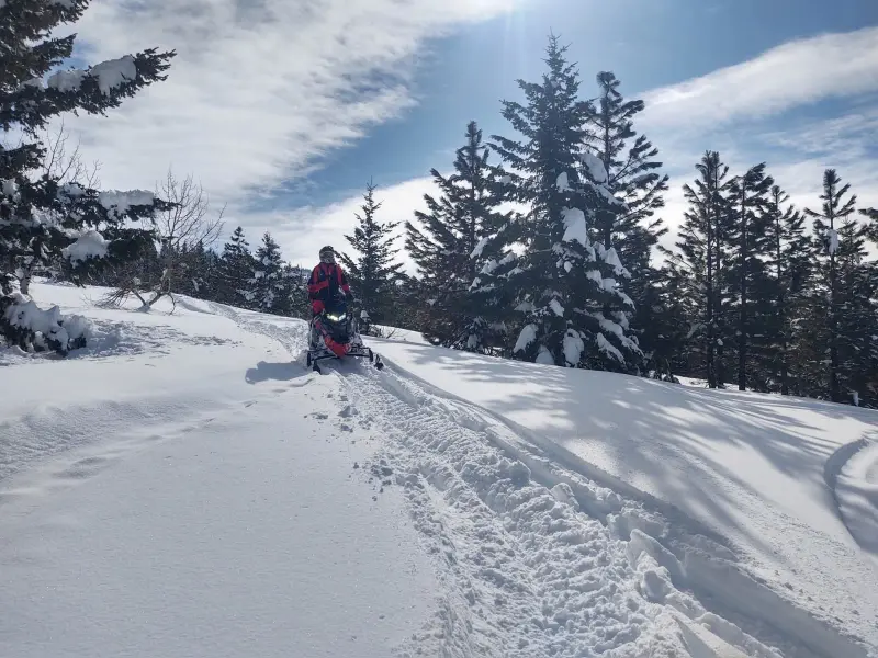 A rider in red gear climbing a powdery slope on a snowmobile, cutting a fresh track between snow-laden spruce with the sun flaring overhead.