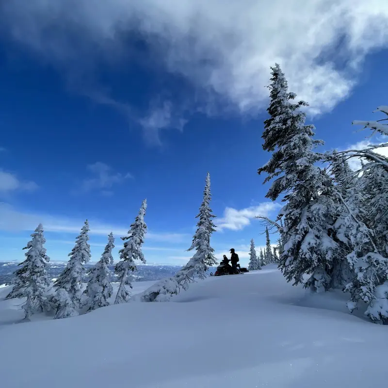 A rider standing beside a snowmobile on a ridge of untracked snow, framed by rime-caked spruce with a distant valley far below under a deep blue sky.