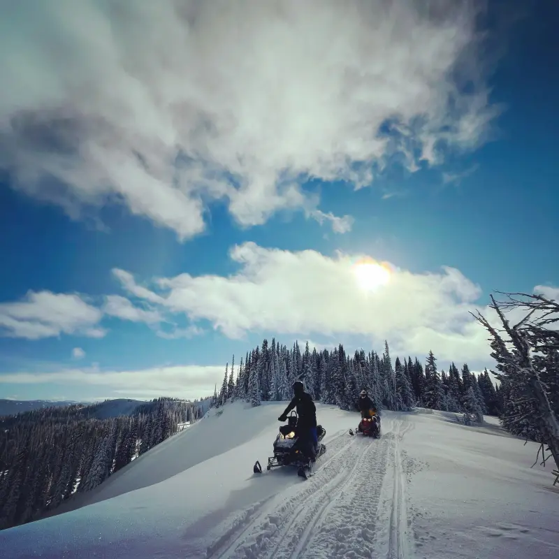 Two helmeted riders following a packed track up a snow ridge toward a stand of snow-covered spruce, with the low sun flaring through thin cloud.