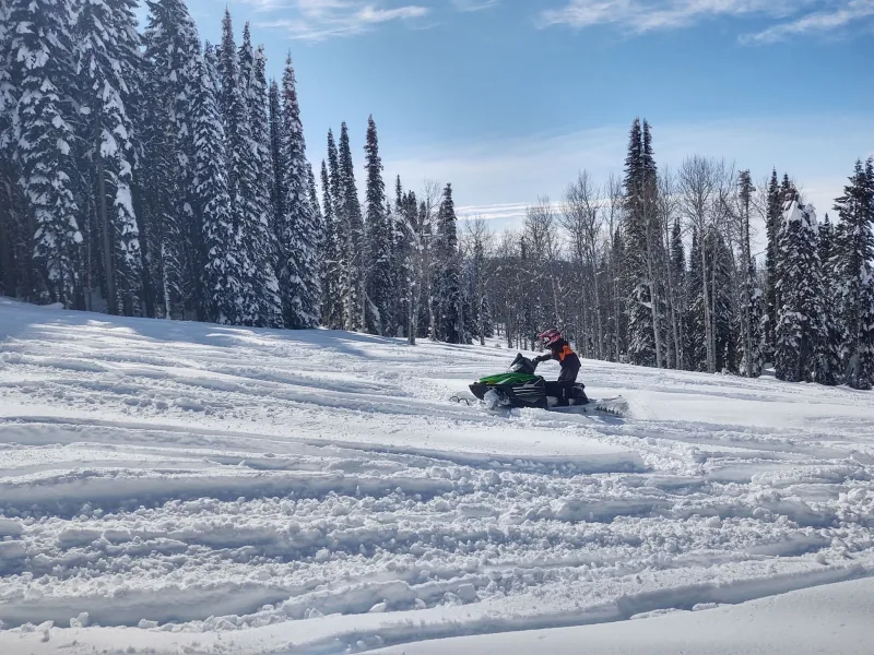 A single rider on a green snowmobile crossing an open, track-marked snowfield under a clear blue sky, with snow-flocked spruce along the treeline.